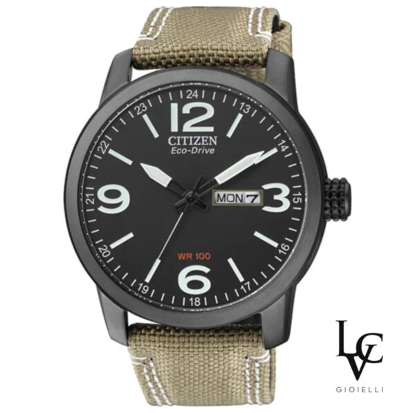 Orologio Citizen Eco-Drive solo tempo